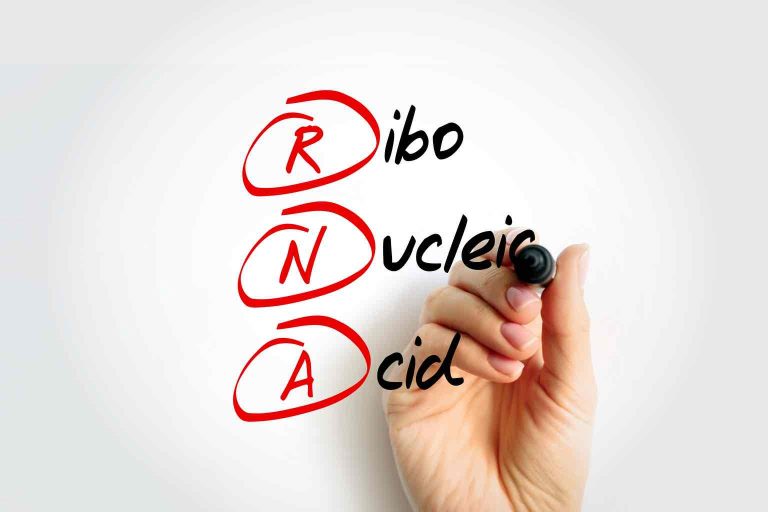 RNA - Ribonucleic acid acronym with marker, medical concept background